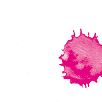 Logo Fleck